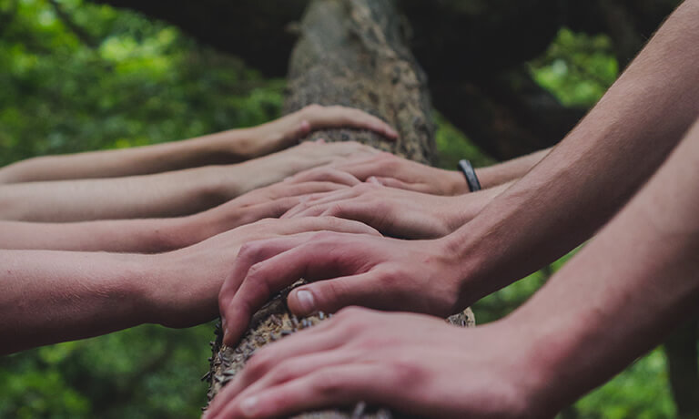 Compromiso sustentable